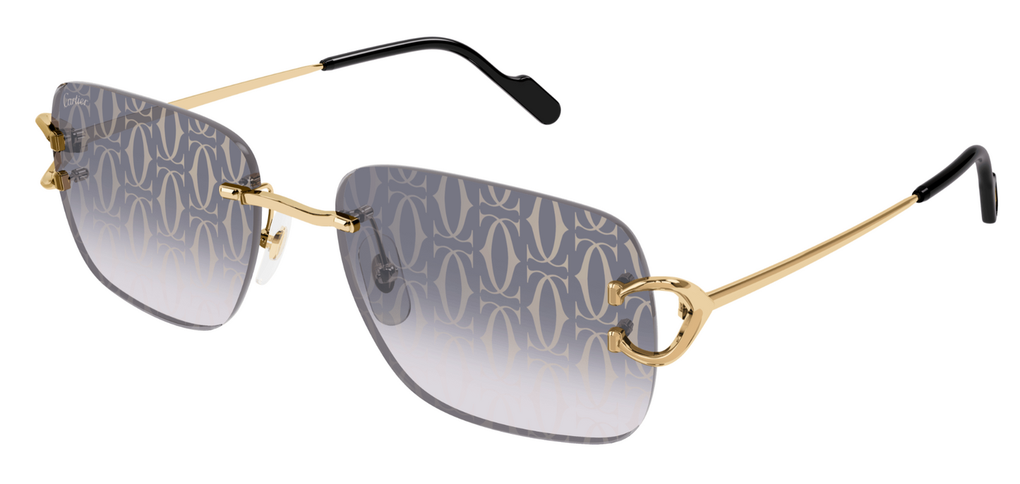 Cartier CT0330S 008