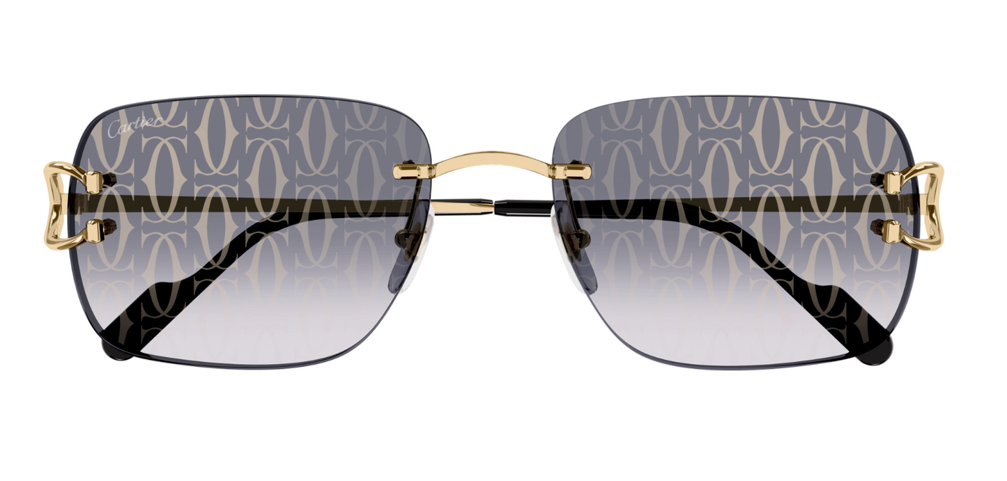 Cartier CT0330S 008