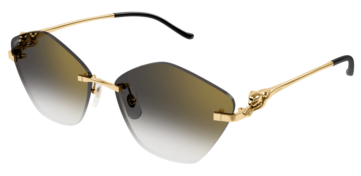 Cartier CT0429S 001
