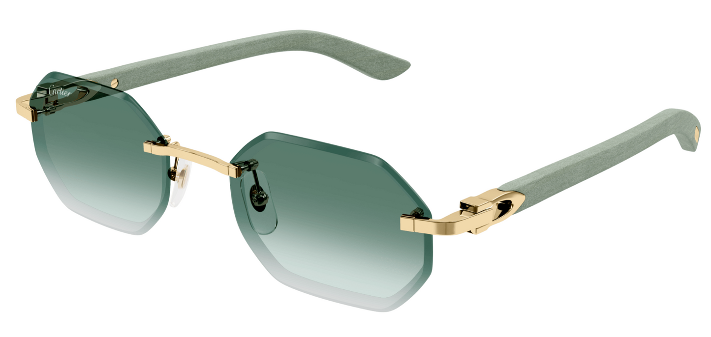 Cartier CT0439S 004