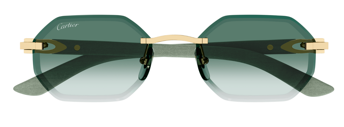 Cartier CT0439S 004