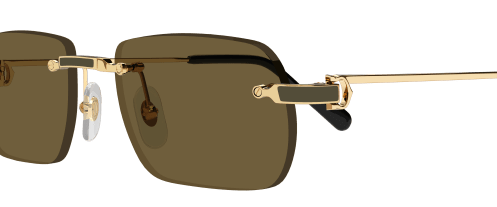 Cartier CT0498S 005 55-20