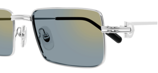 Cartier CT0501S 008 54-20