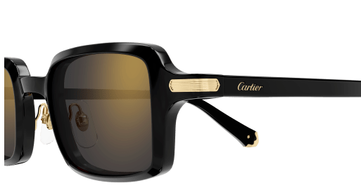 Cartier CT0539S 001 49-22