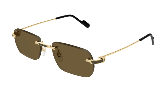 Cartier CT0498S 005 55-20