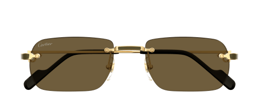 Cartier CT0498S 005 55-20