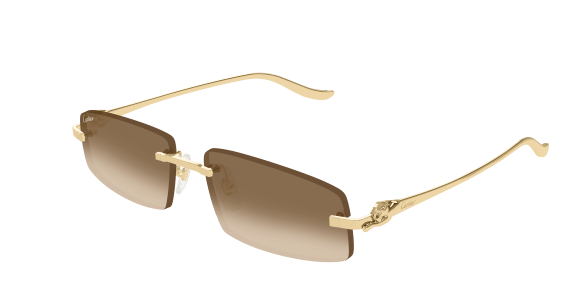 Cartier CT0505S 003 53-16