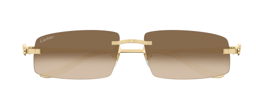 Cartier CT0505S 003 53-16