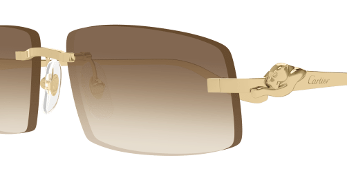 Cartier CT0505S 003 53-16