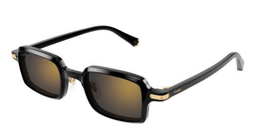 Cartier CT0539S 001 49-22