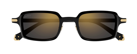 Cartier CT0539S 001 49-22