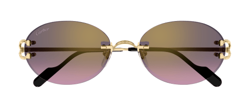 Cartier CT0551S 004 55-18