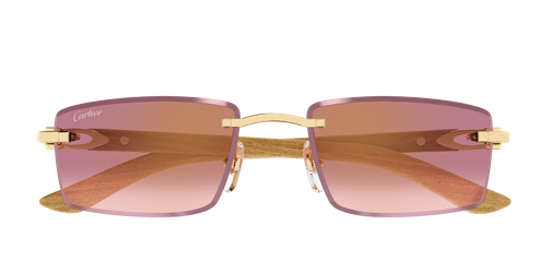 Cartier CT0582S 002 56-19