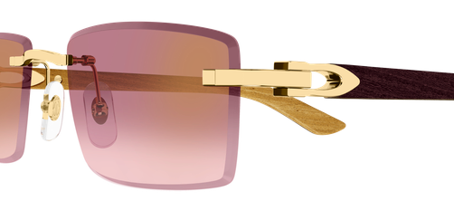 Cartier CT0582S 002 56-19