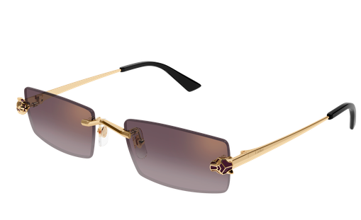Cartier CT0598S 005 55-20