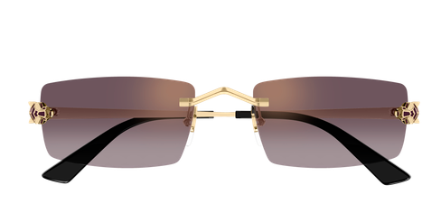 Cartier CT0598S 005 55-20