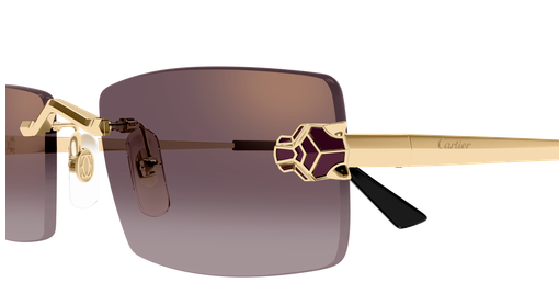 Cartier CT0598S 005 55-20
